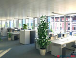 Offices to let in Haus an der Wien